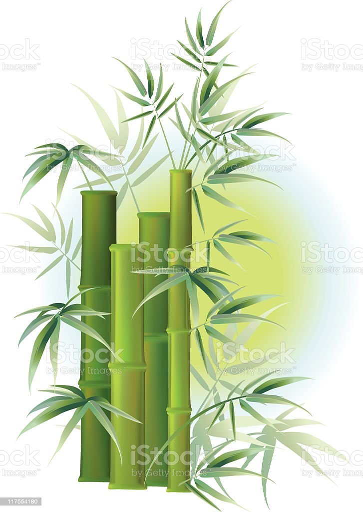 Detail Bamboo Download Nomer 31