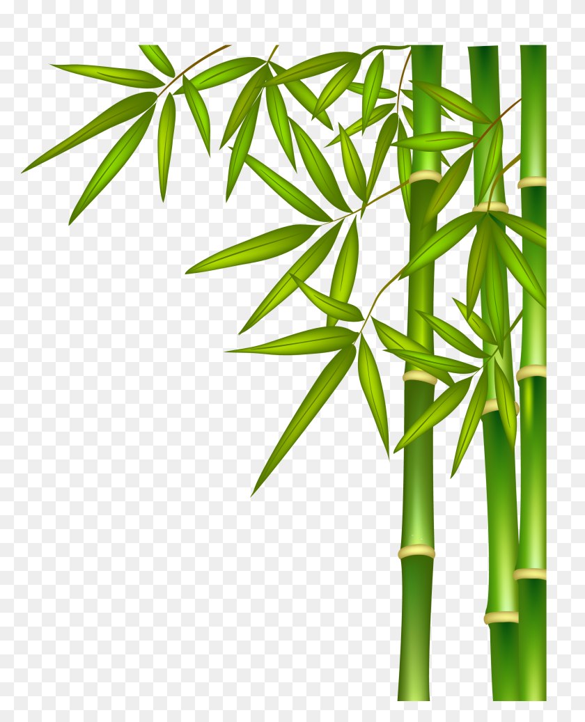 Detail Bamboo Downloads Nomer 15