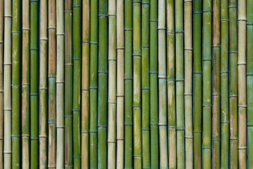 Detail Bamboo Downloads Nomer 53