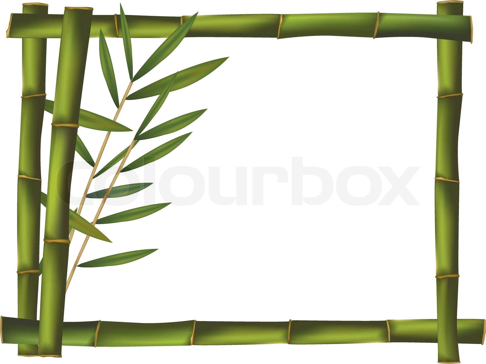 Detail Bamboo Frame Vector Nomer 19