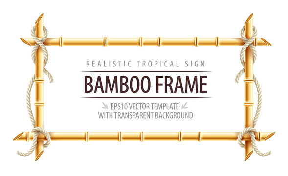 Detail Bamboo Frame Vector Nomer 21