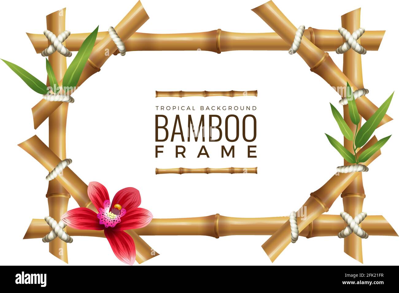 Detail Bamboo Frame Vector Nomer 38