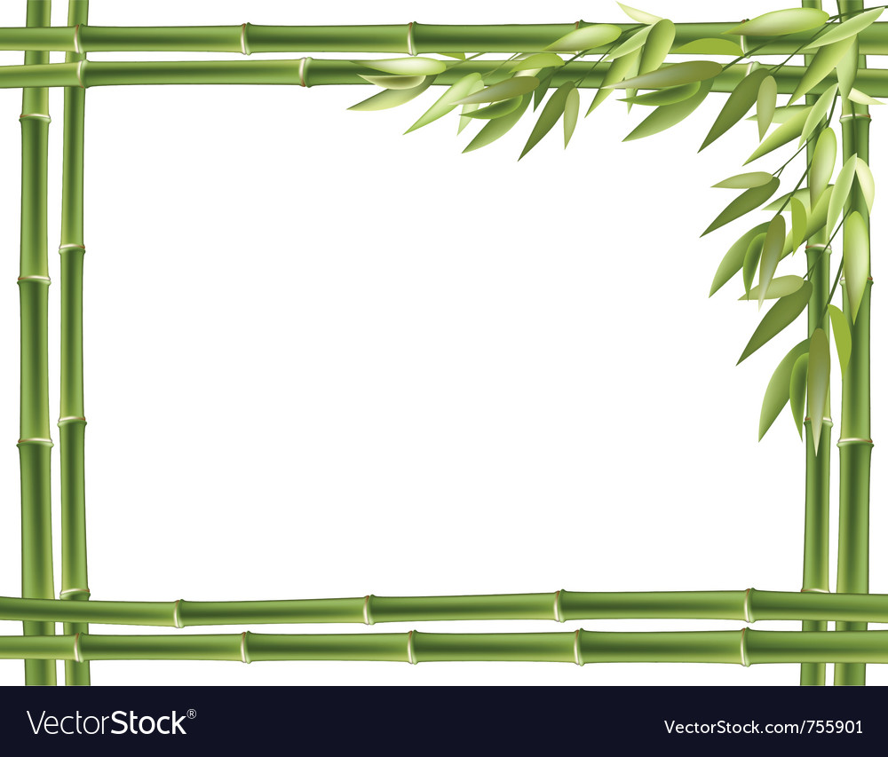 Detail Bamboo Frame Vector Nomer 10