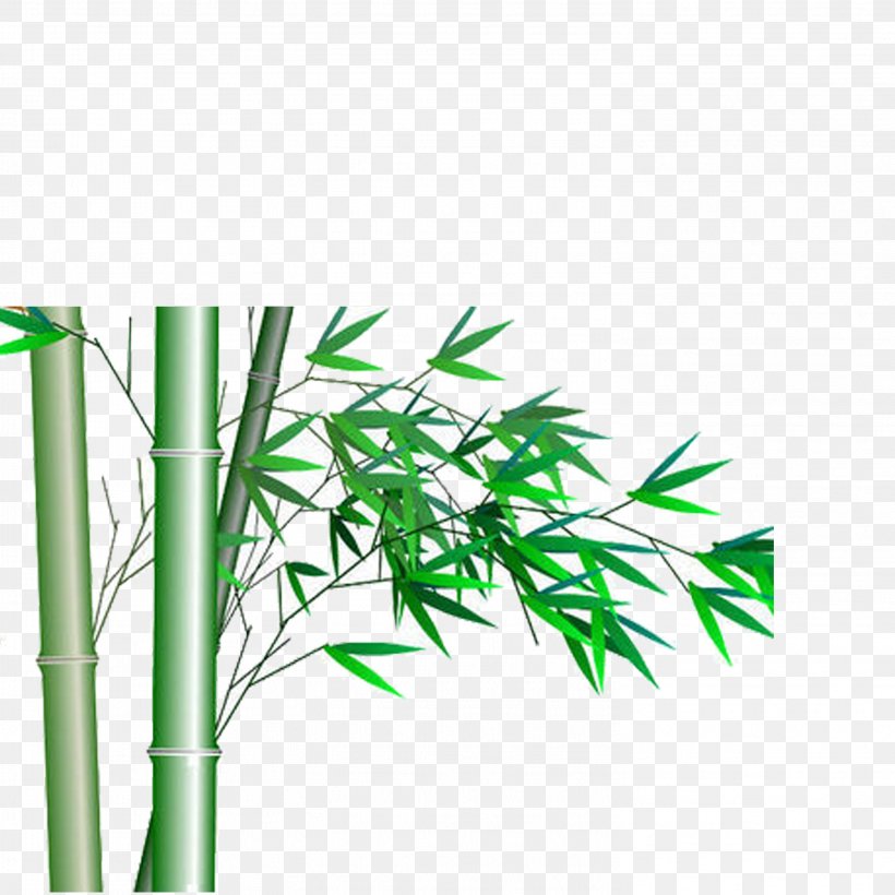 Detail Bamboo Icon Png Nomer 52