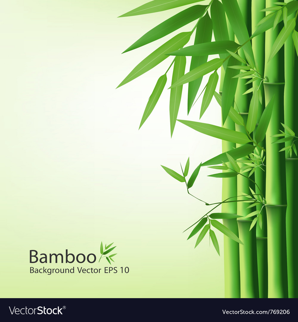 Detail Bamboo Images Free Nomer 15