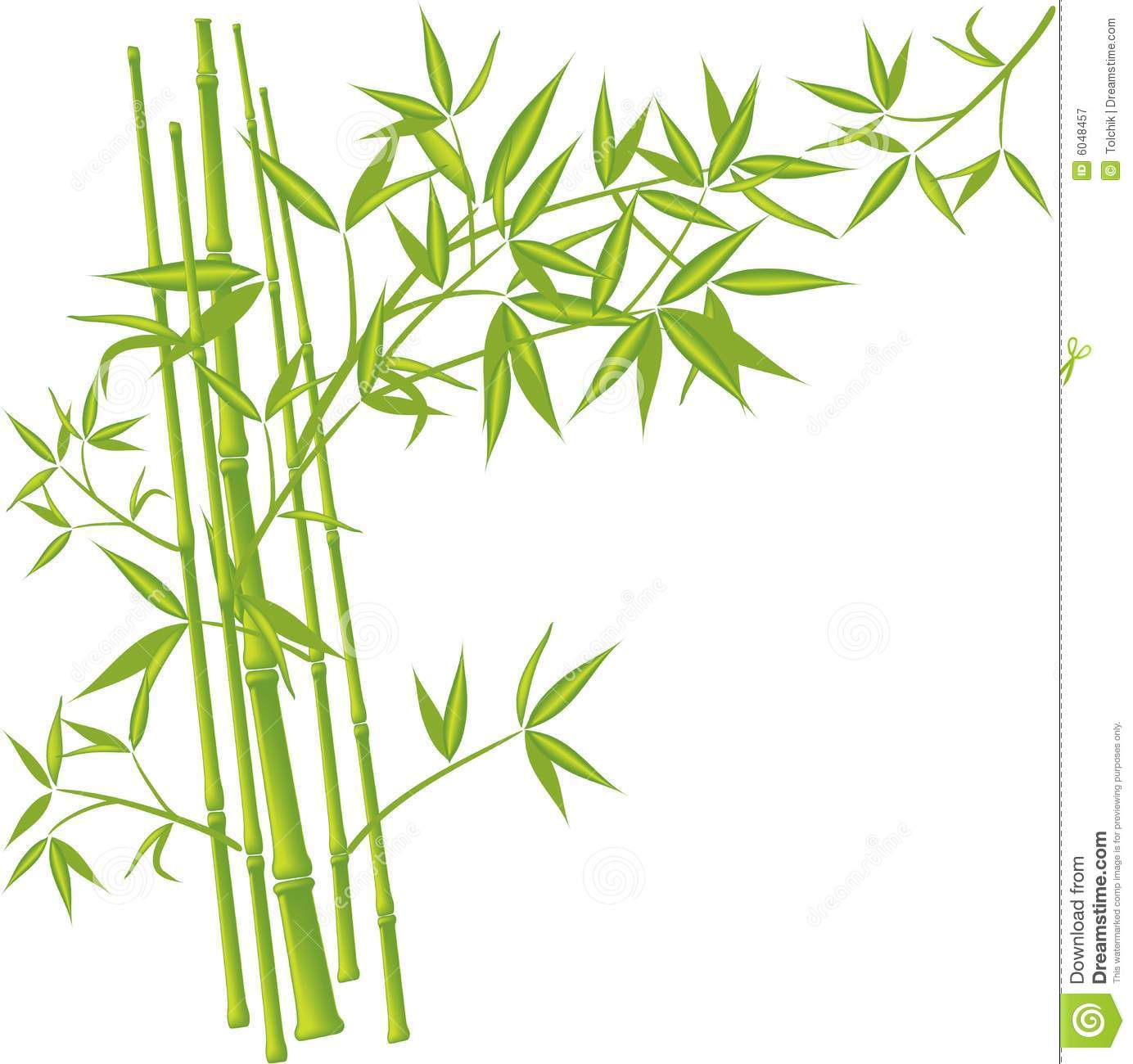 Detail Bamboo Images Free Nomer 24