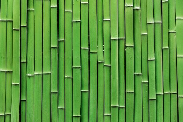 Detail Bamboo Images Free Nomer 40