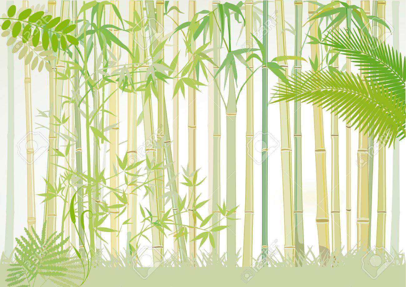 Detail Bamboo Images Free Nomer 47