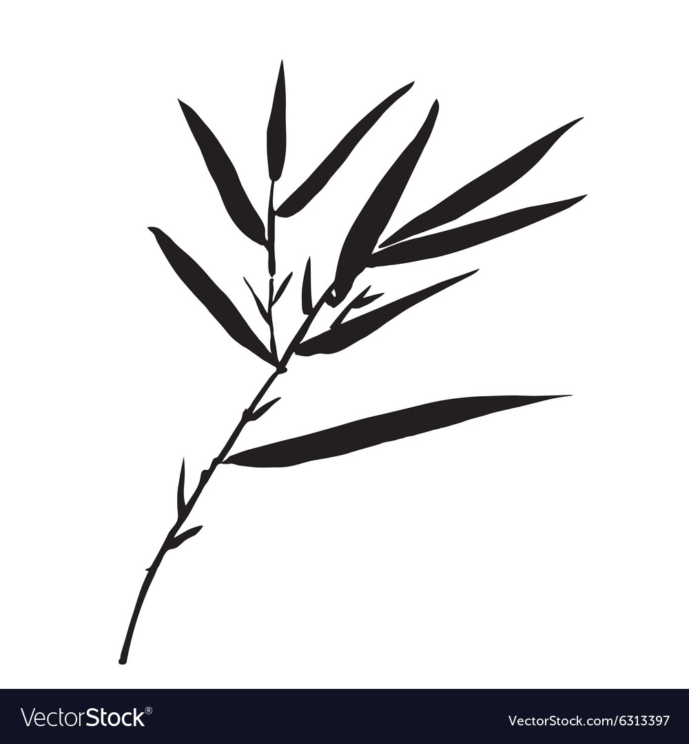 Bamboo Leaf Vector - KibrisPDR