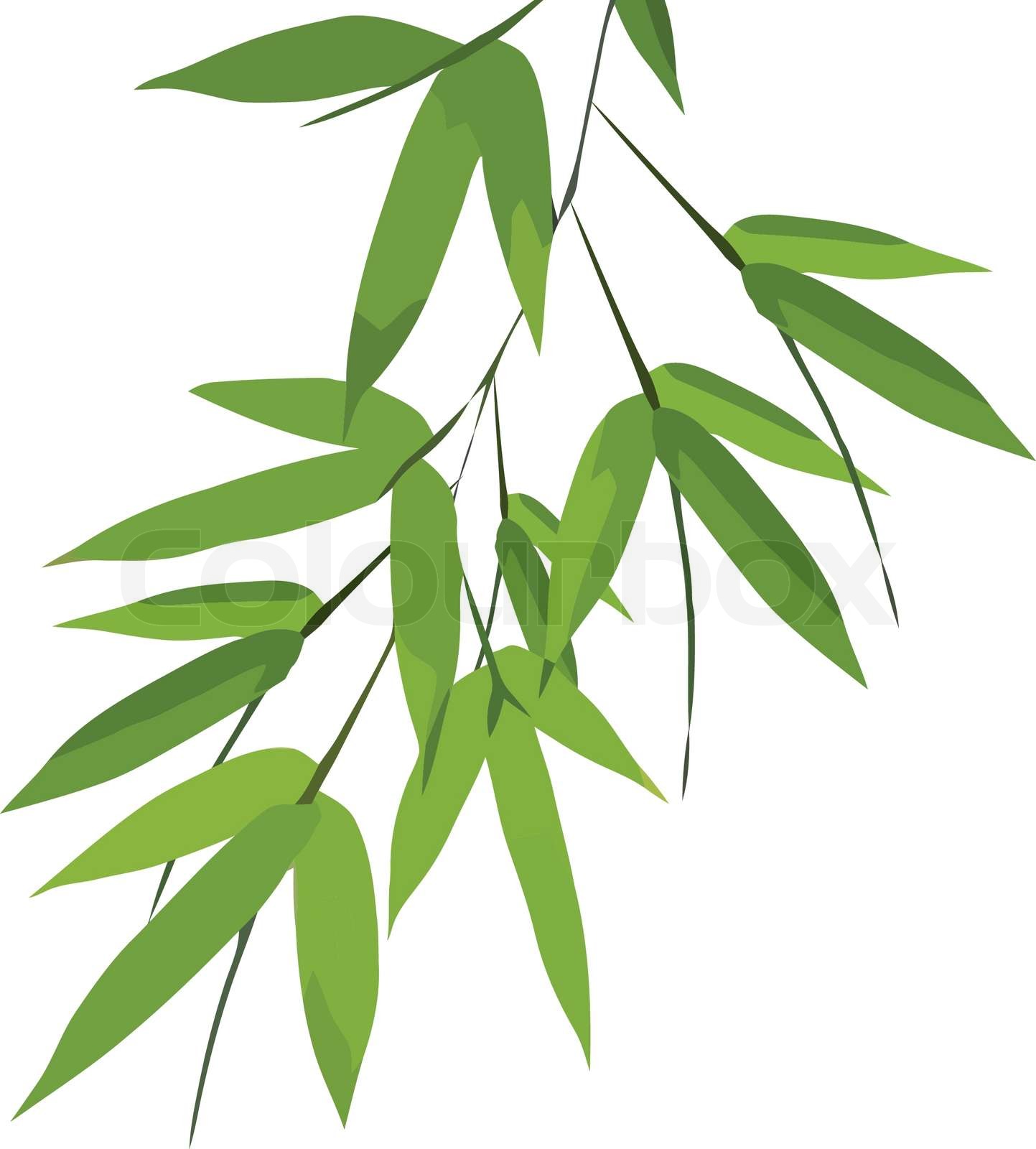 Detail Bamboo Leaf Vector Nomer 11