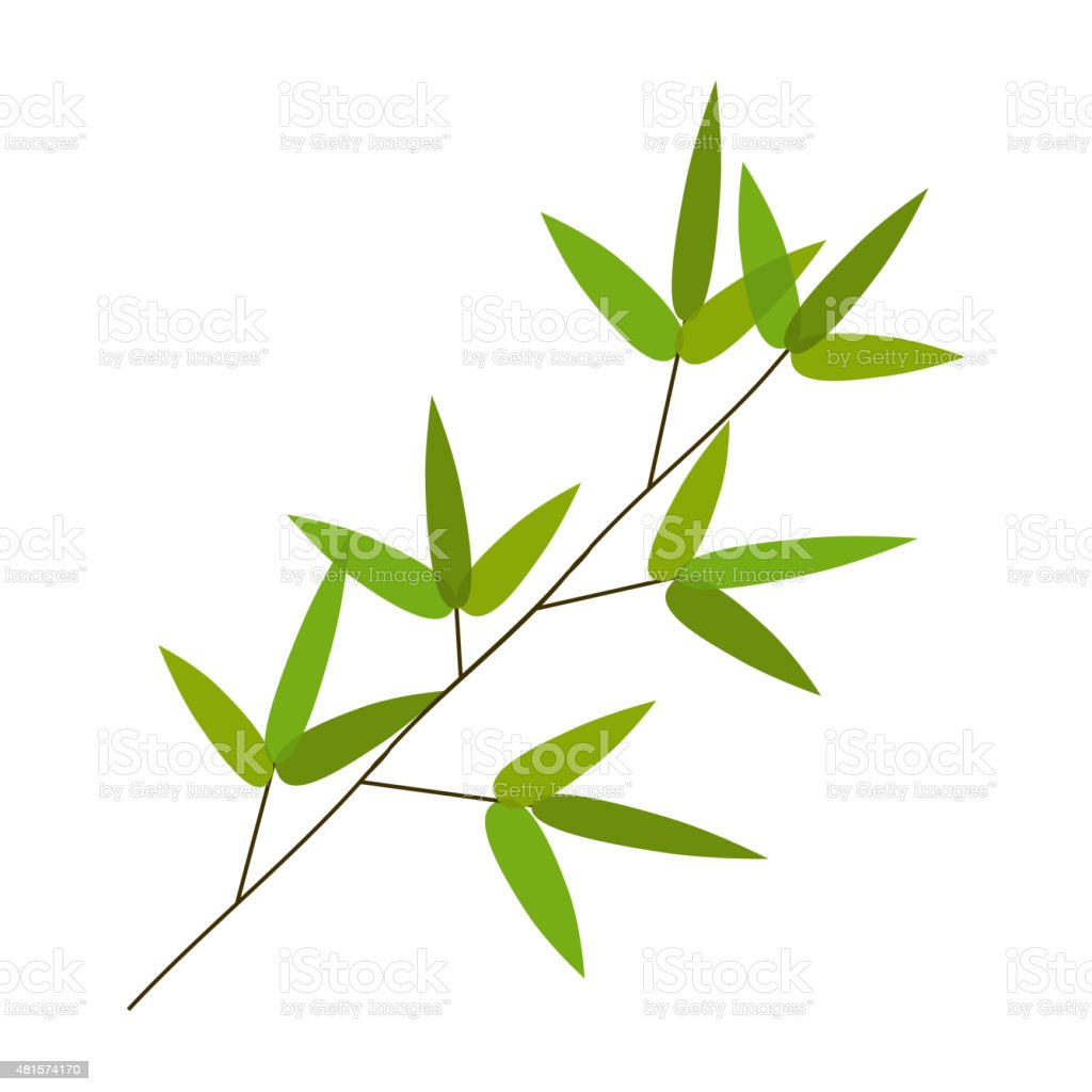 Detail Bamboo Leaf Vector Nomer 14