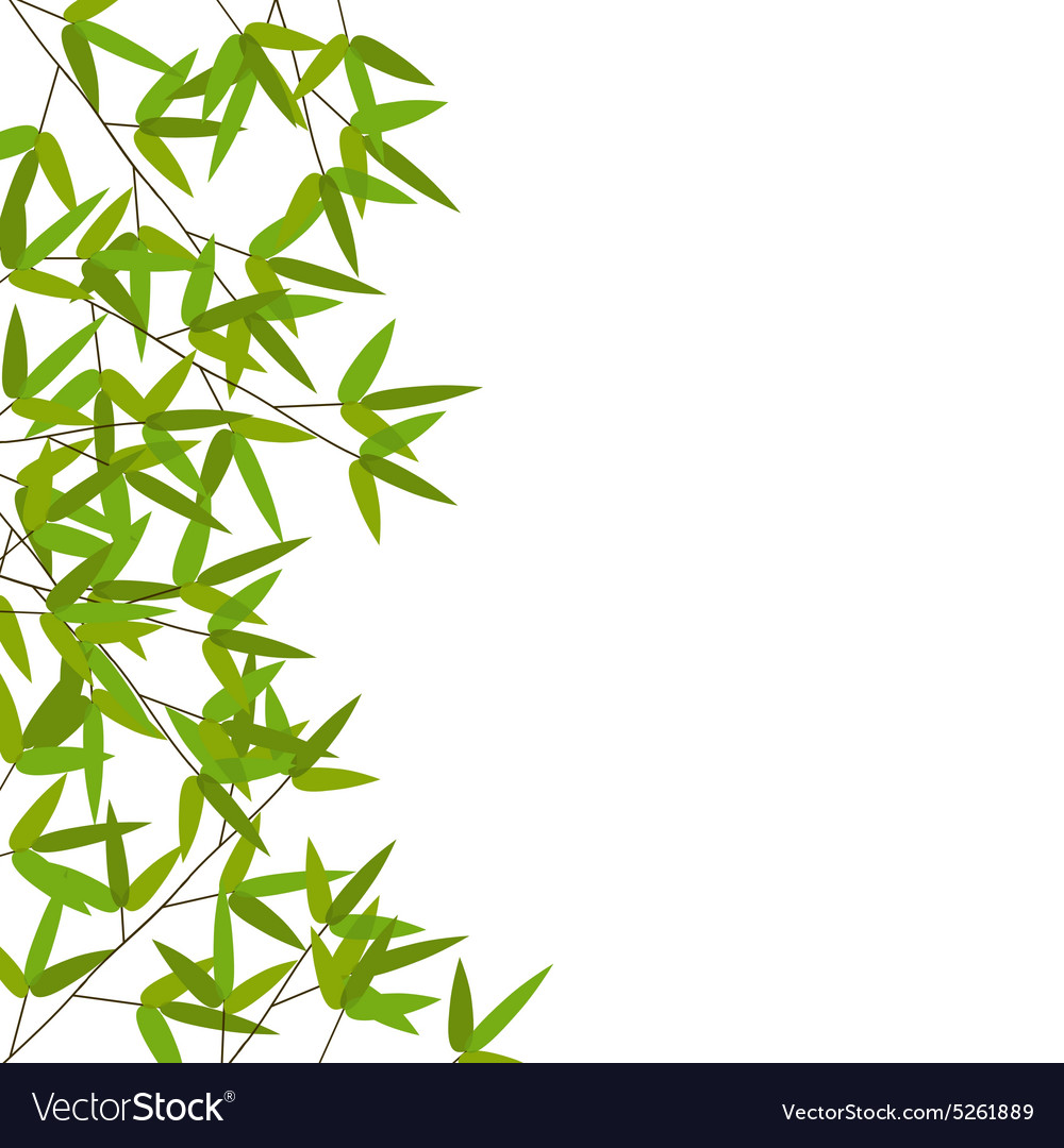 Detail Bamboo Leaf Vector Nomer 20