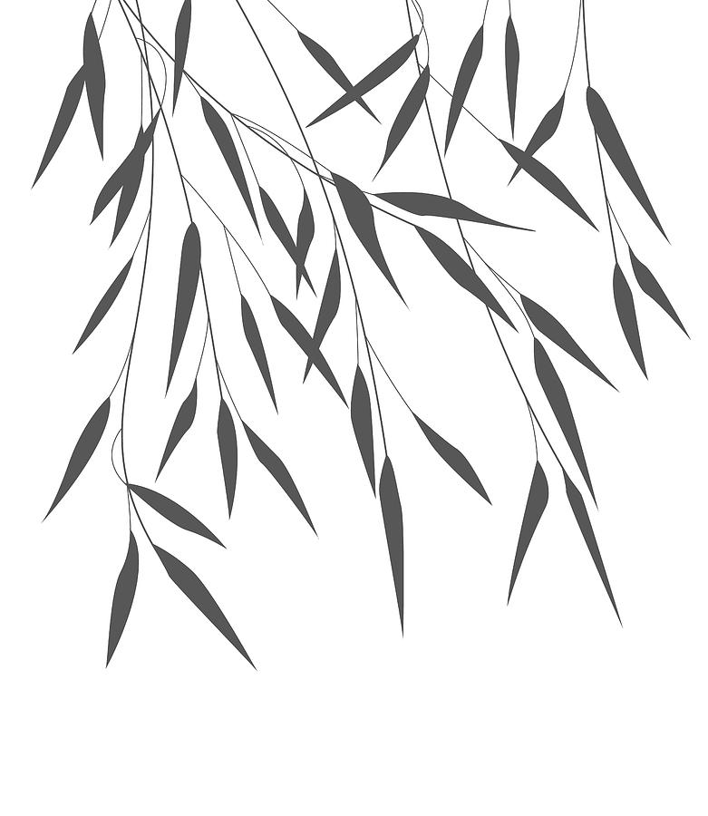 Detail Bamboo Leaf Vector Nomer 36