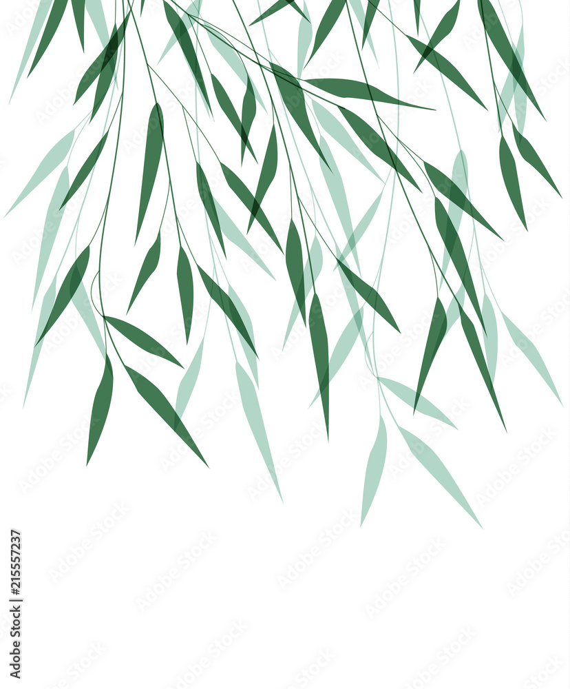 Detail Bamboo Leaf Vector Nomer 48