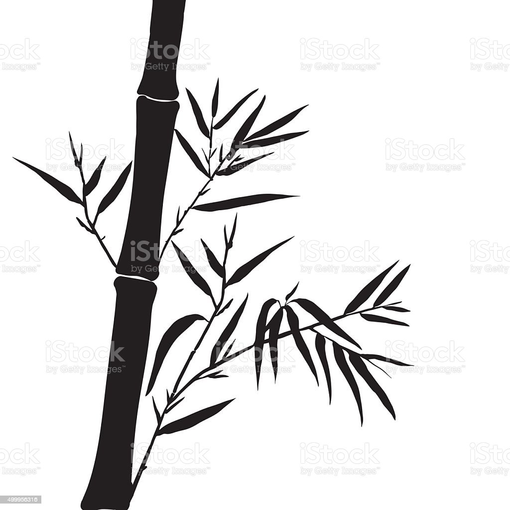 Detail Bamboo Leaf Vector Nomer 56