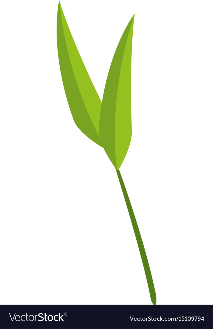 Detail Bamboo Leaf Vector Nomer 8