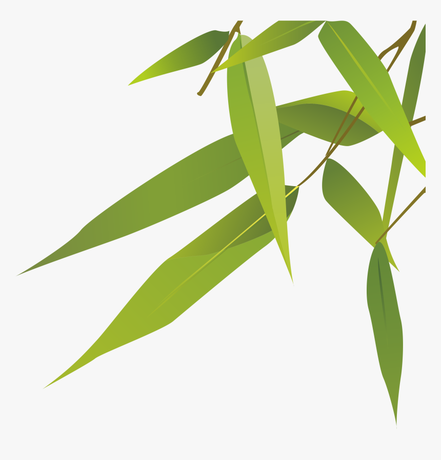 Detail Bamboo Leaves Png Nomer 13