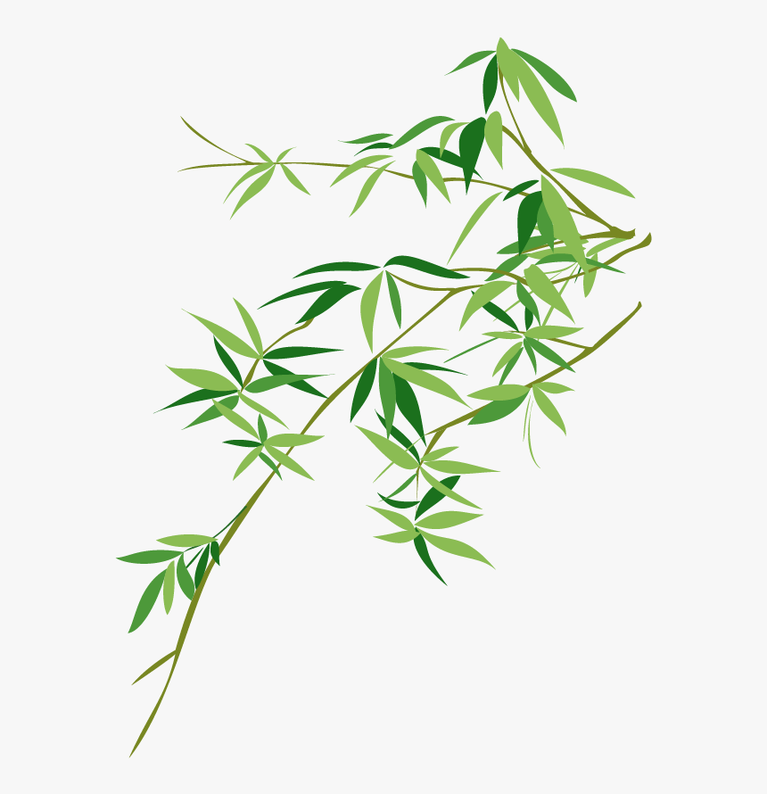 Detail Bamboo Leaves Png Nomer 19