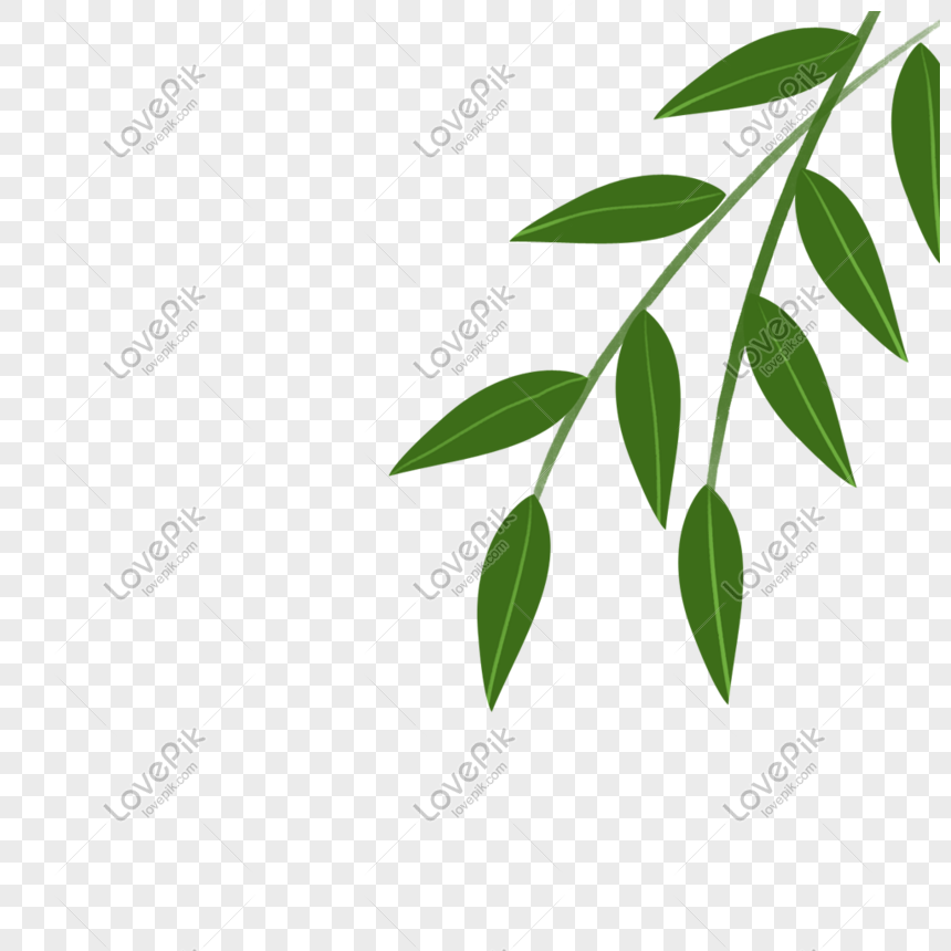 Detail Bamboo Leaves Png Nomer 34