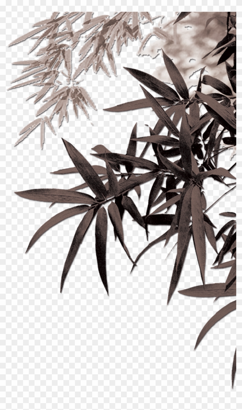 Detail Bamboo Leaves Png Nomer 36