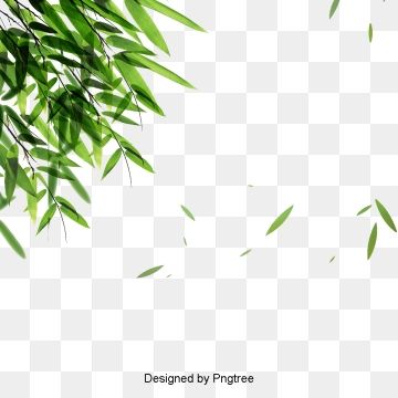 Download Bamboo Leaves Png Nomer 48