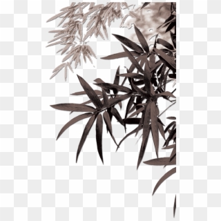 Detail Bamboo Leaves Png Nomer 56