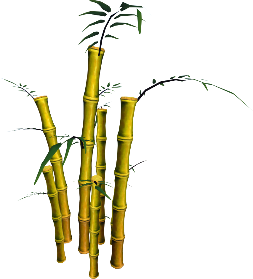 Detail Bamboo Plant Png Nomer 53