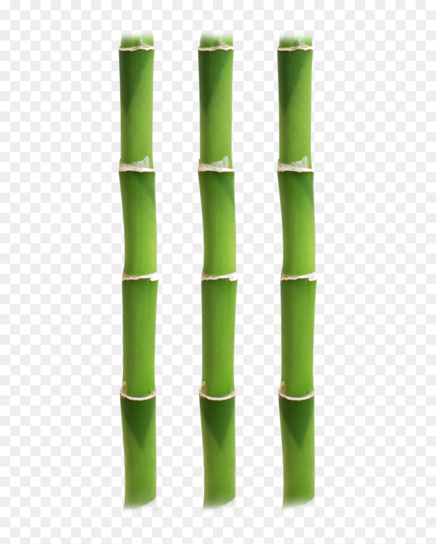 Detail Bamboo Stick Png Nomer 10