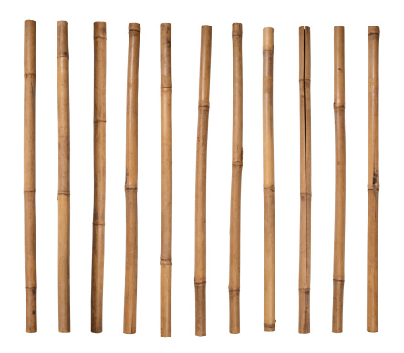 Detail Bamboo Stock Photo Nomer 26