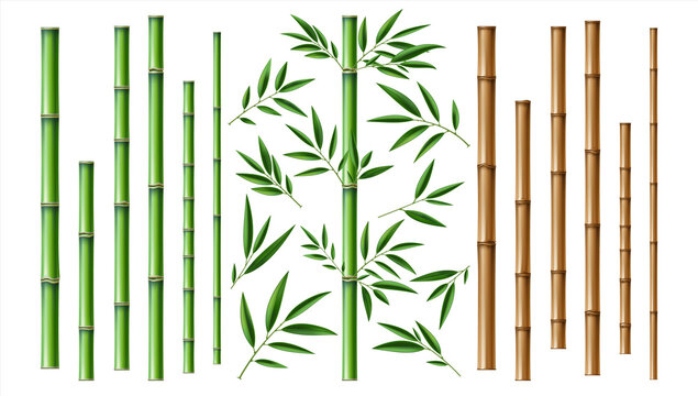 Detail Bamboo Stock Photo Nomer 28