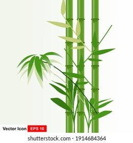 Detail Bamboo Stock Photo Nomer 37