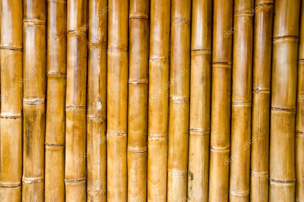 Detail Bamboo Stock Photo Nomer 10