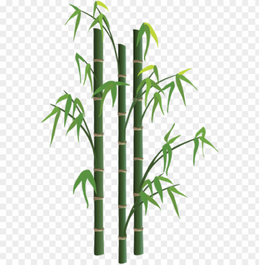 Detail Bamboo Transparent Background Nomer 3