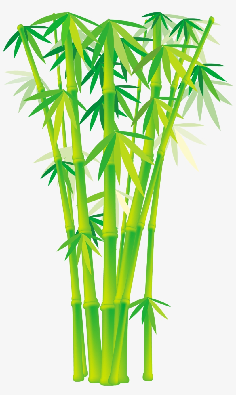 Detail Bamboo Tree Png Nomer 22