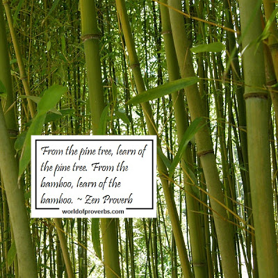Detail Bamboo Tree Quotes Nomer 11