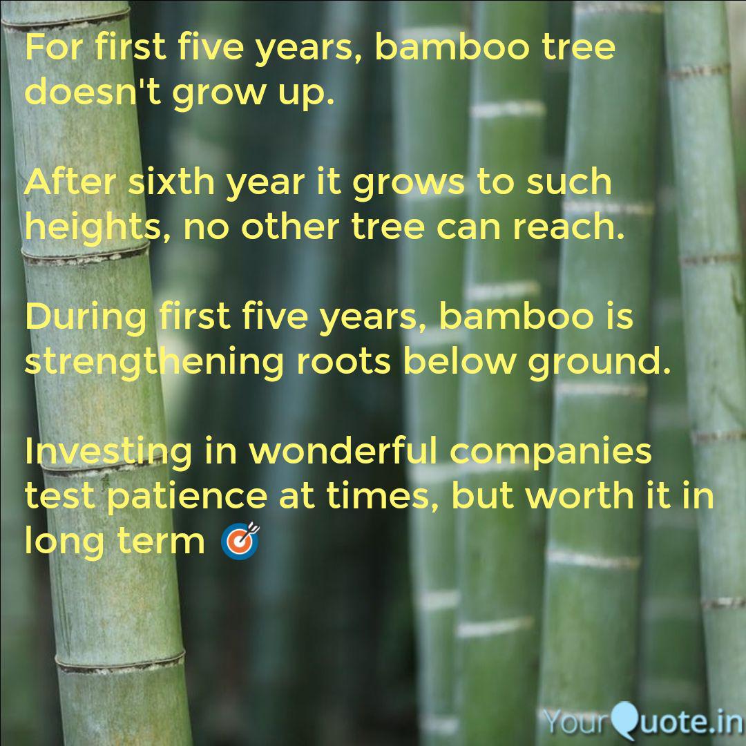 Detail Bamboo Tree Quotes Nomer 16
