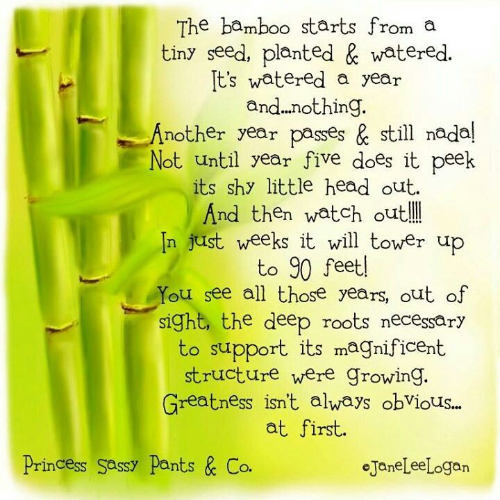 Detail Bamboo Tree Quotes Nomer 3