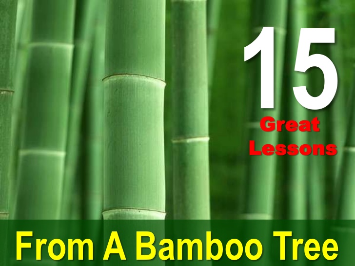 Detail Bamboo Tree Quotes Nomer 39