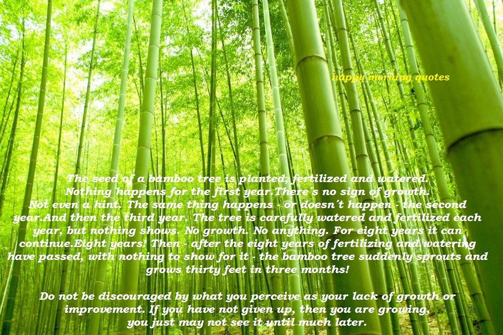 Detail Bamboo Tree Quotes Nomer 47