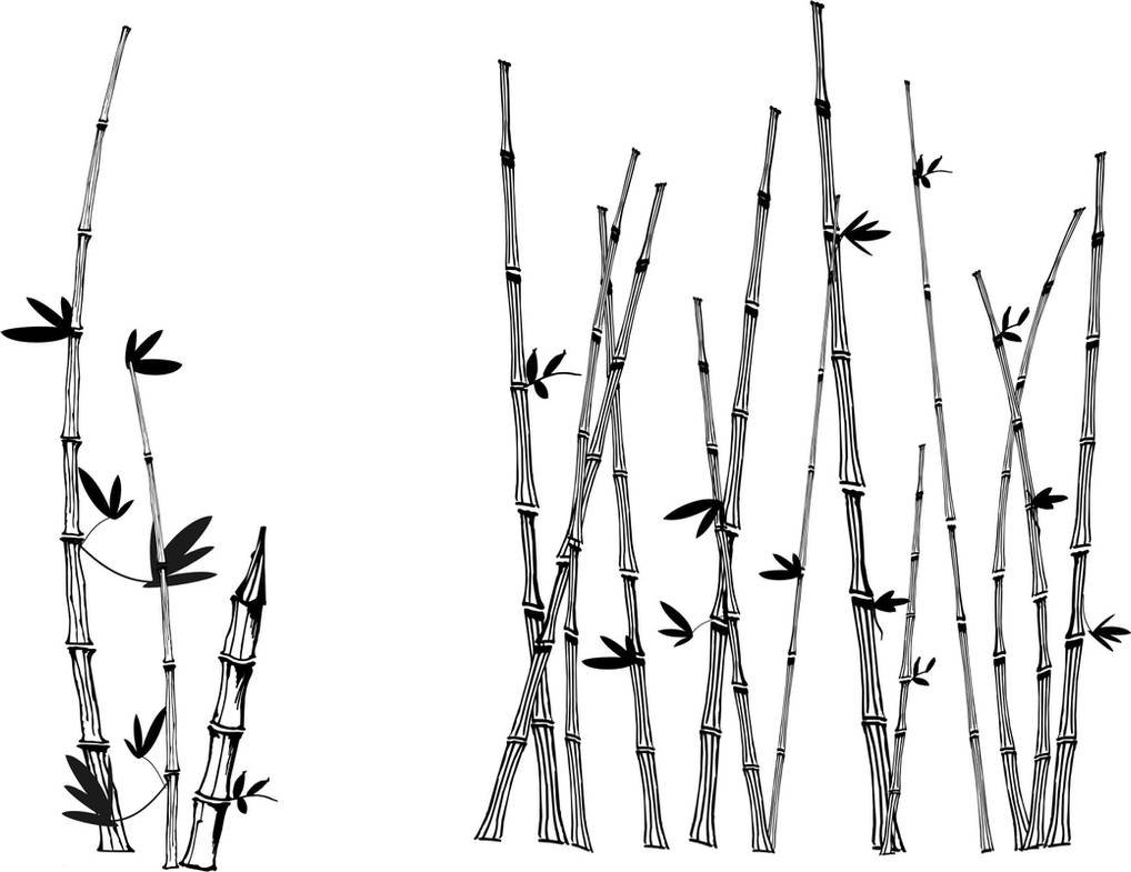 Detail Bamboo Vector Free Nomer 18