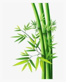 Detail Bamboo Vector Free Nomer 24