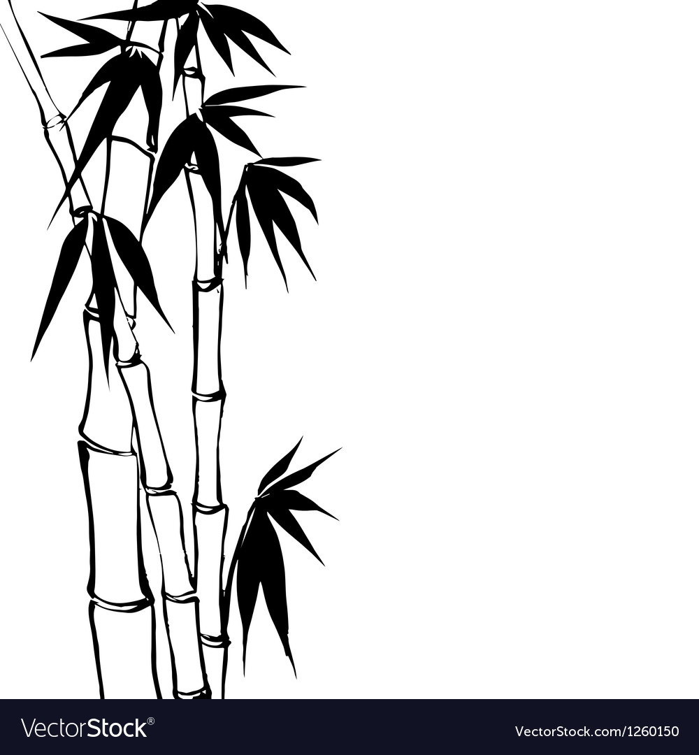 Detail Bamboo Vector Free Nomer 35