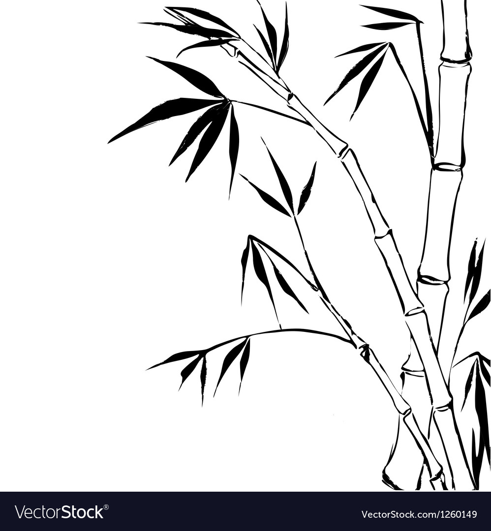 Detail Bamboo Vector Free Nomer 5