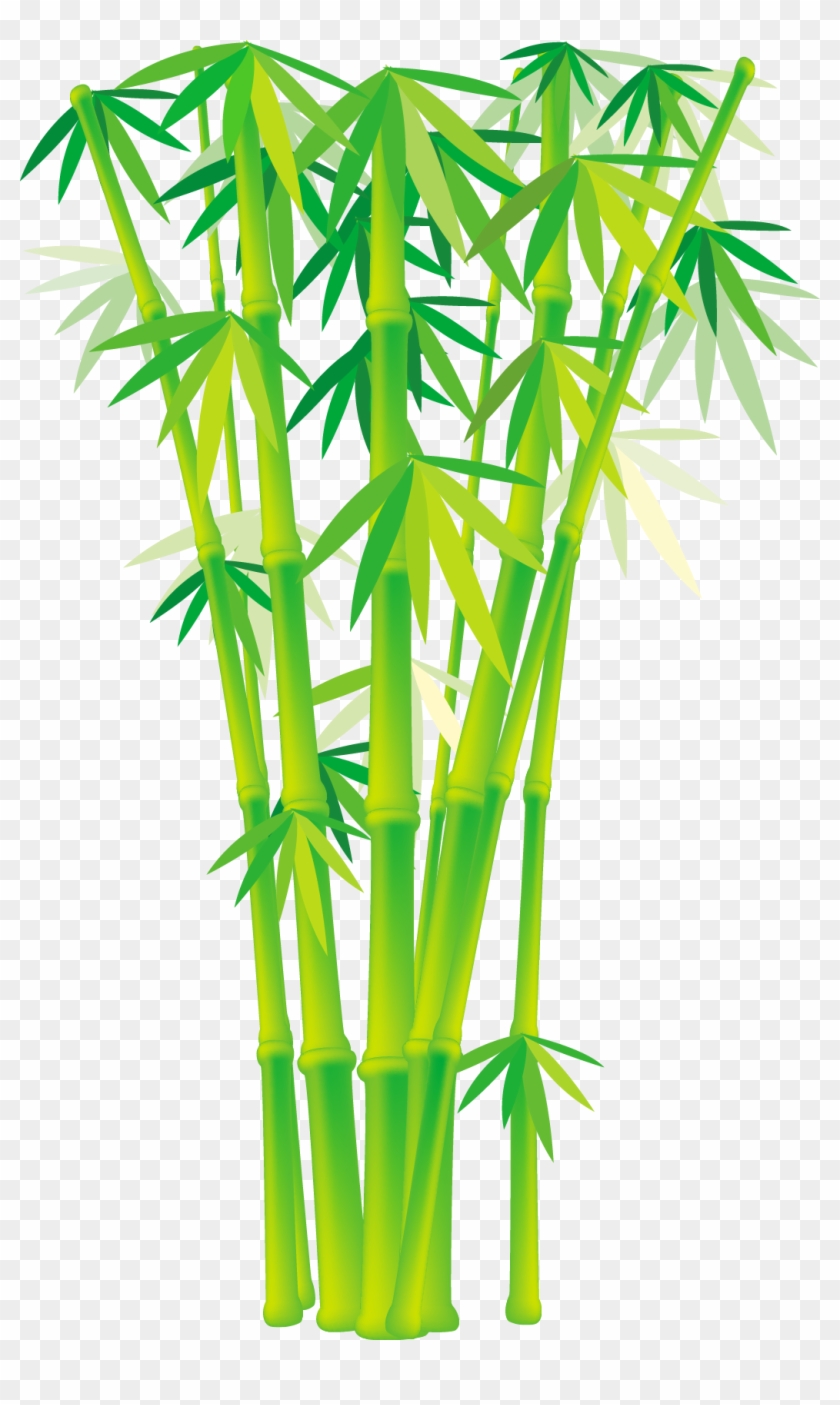 Detail Bamboo Vector Free Nomer 48