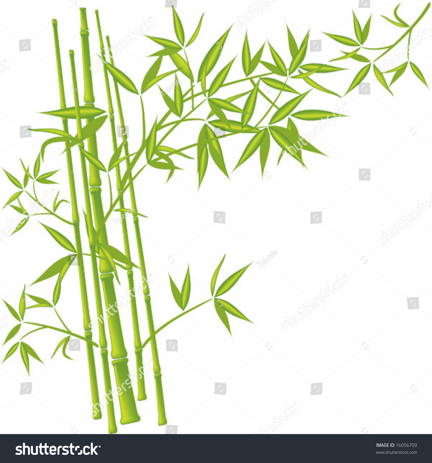 Detail Bamboo Vector Free Nomer 9