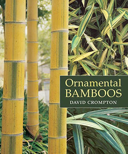 Detail Bamboos Images Nomer 31