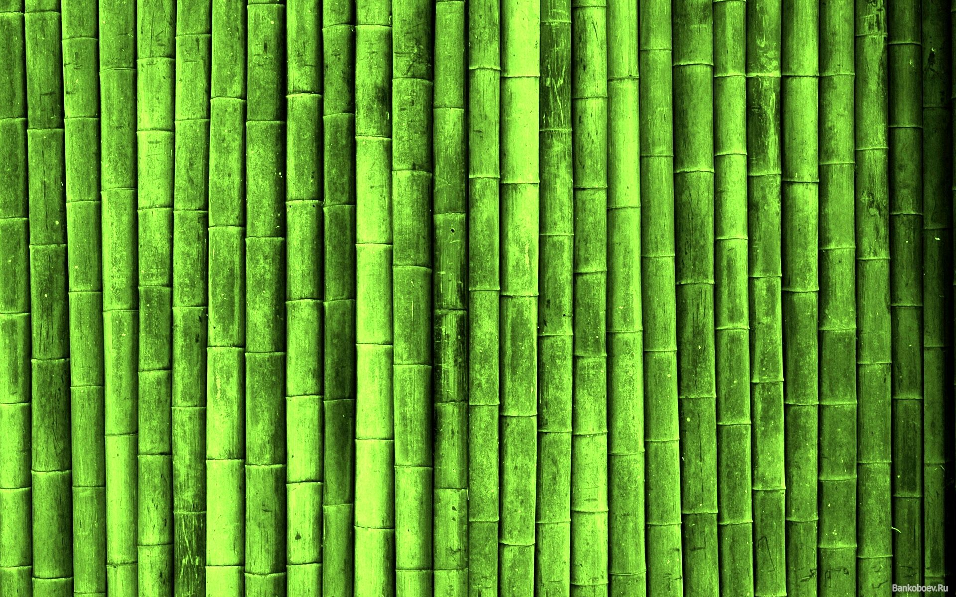 Detail Bambu Background Nomer 11
