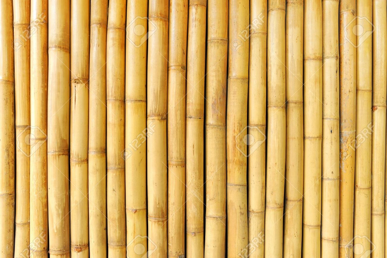 Detail Bambu Background Nomer 13