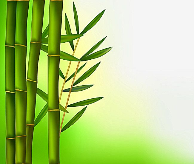 Detail Bambu Background Nomer 17
