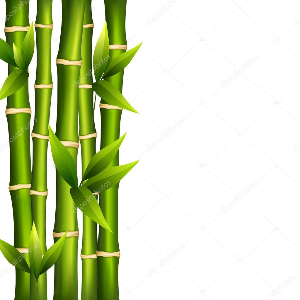 Detail Bambu Background Nomer 24